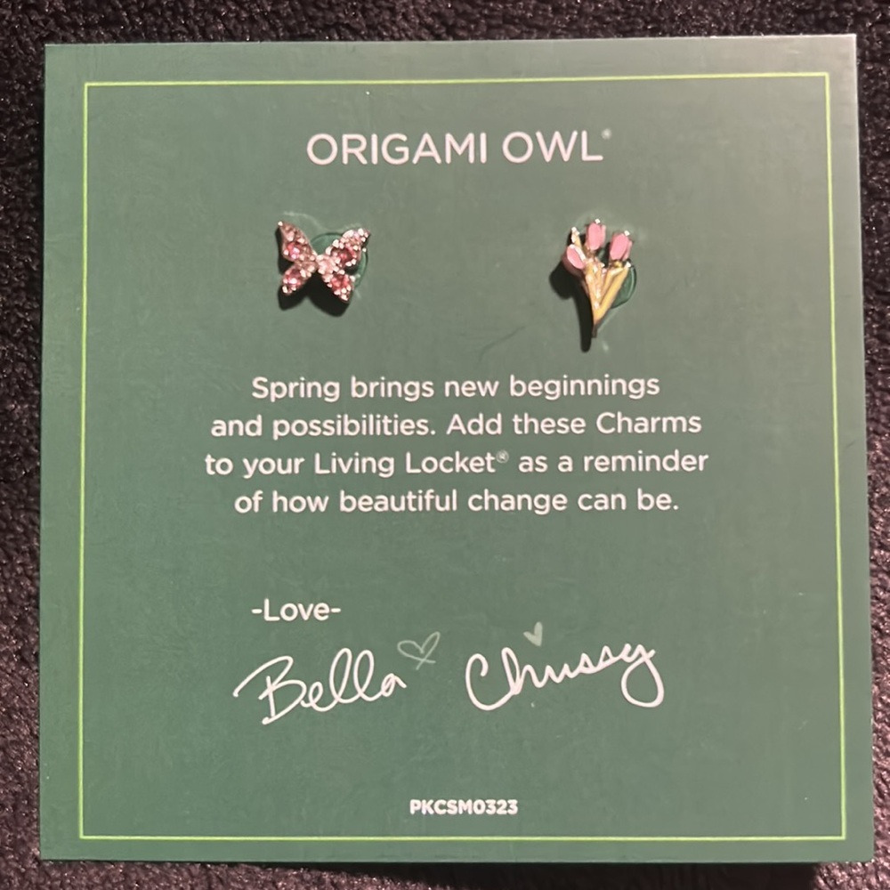 Origami Owl Charm of the Month Charms March 2023